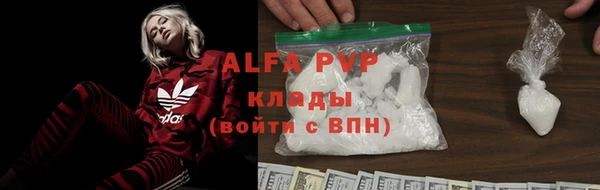 ГАЛЛЮЦИНОГЕННЫЕ ГРИБЫ Белокуриха