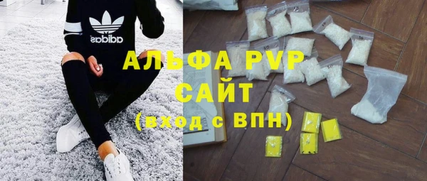 ГАЛЛЮЦИНОГЕННЫЕ ГРИБЫ Белокуриха