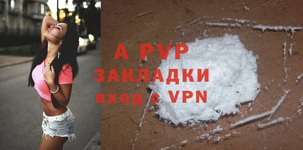 ГАЛЛЮЦИНОГЕННЫЕ ГРИБЫ Белокуриха