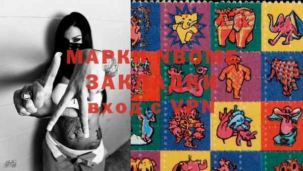 ГАЛЛЮЦИНОГЕННЫЕ ГРИБЫ Белокуриха