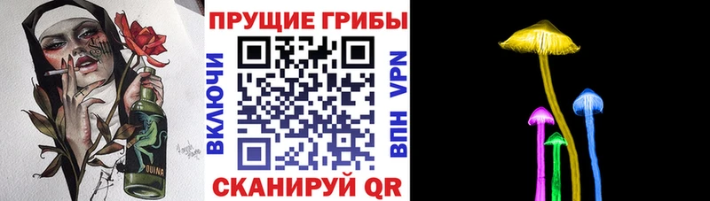 площадка какой сайт  наркошоп  Бородино  Галлюциногенные грибы Cubensis 