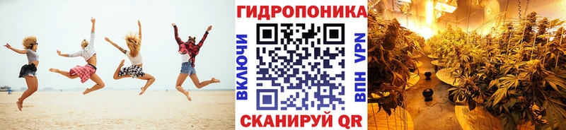 Каннабис VHQ Бородино